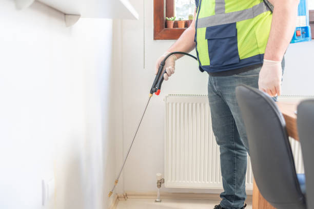 Best Affordable Pest Control Services  in Freeport, IL