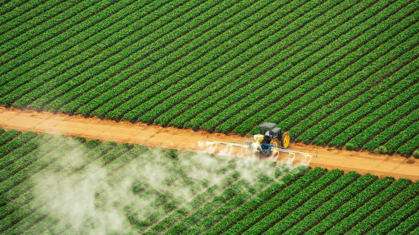 Best Mosquito Control Services  in Freeport, IL