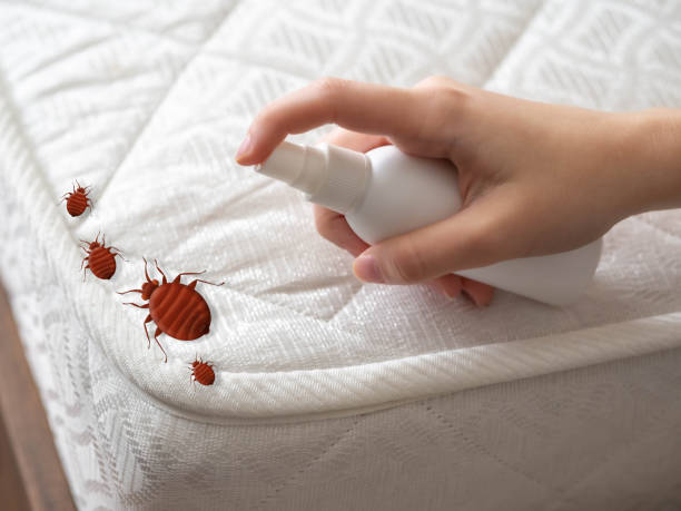 Best Affordable Pest Control Services  in Freeport, IL