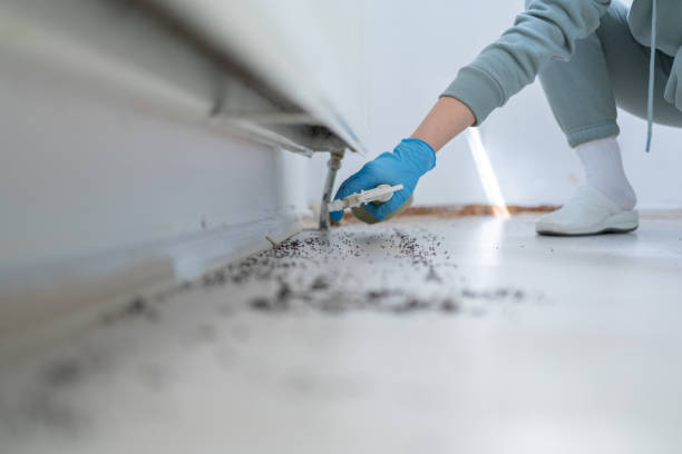 Best Emergency Pest Control  in Freeport, IL